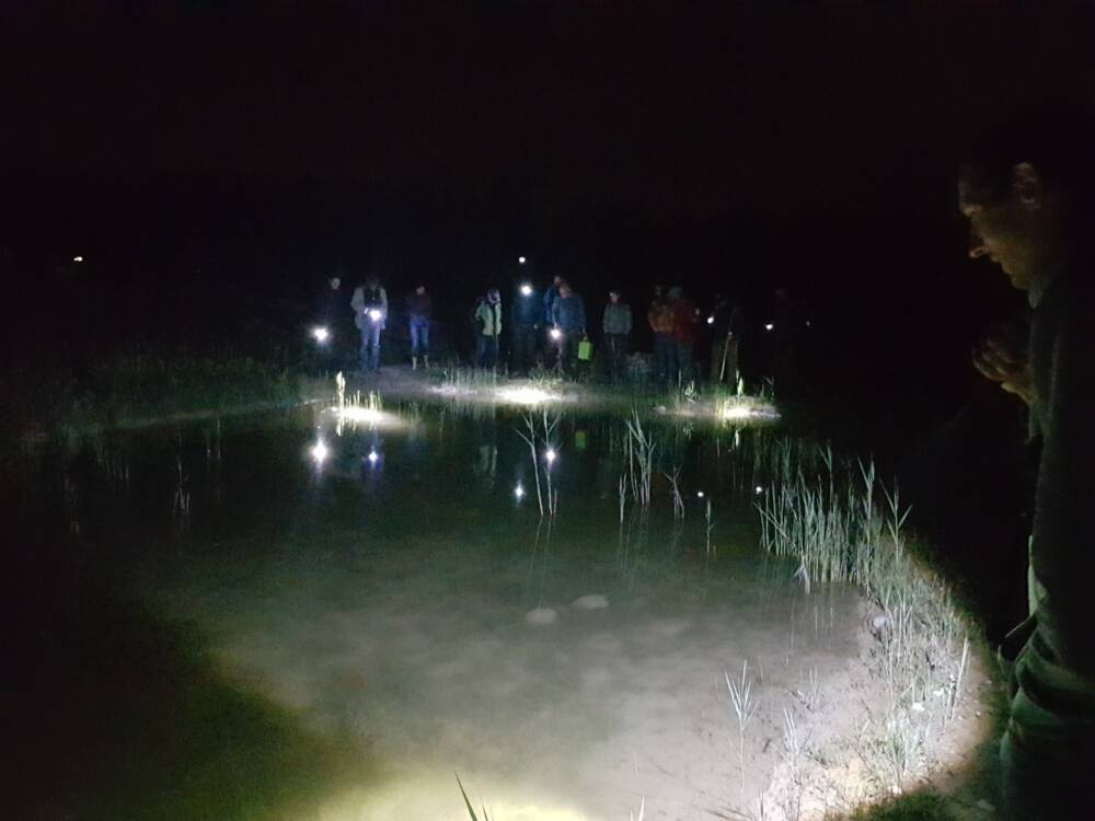 20220524 223838 Kopie