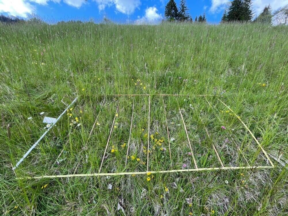 Dar w 3u210531 bf Kopie