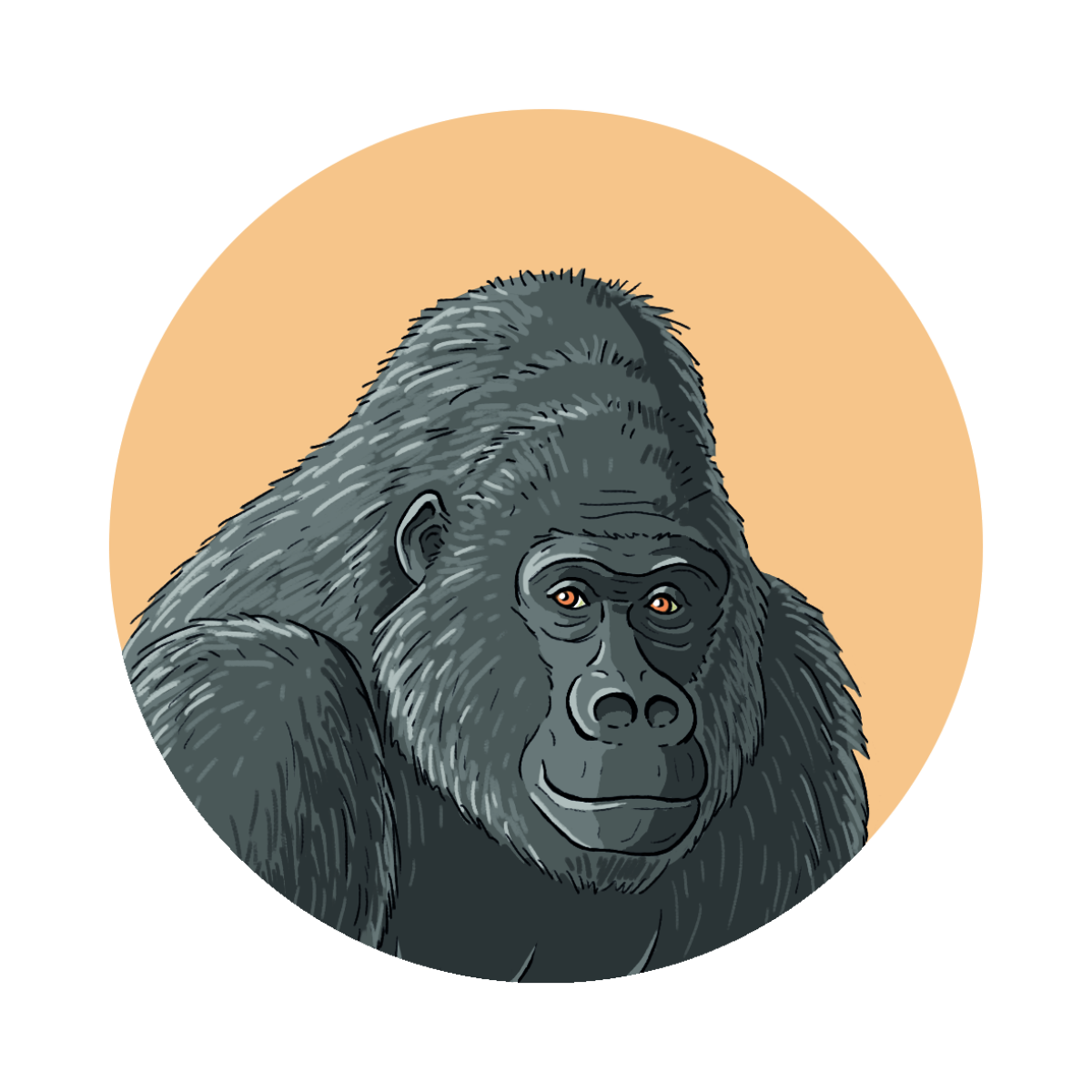 03 projekt dschungelcamp weiss