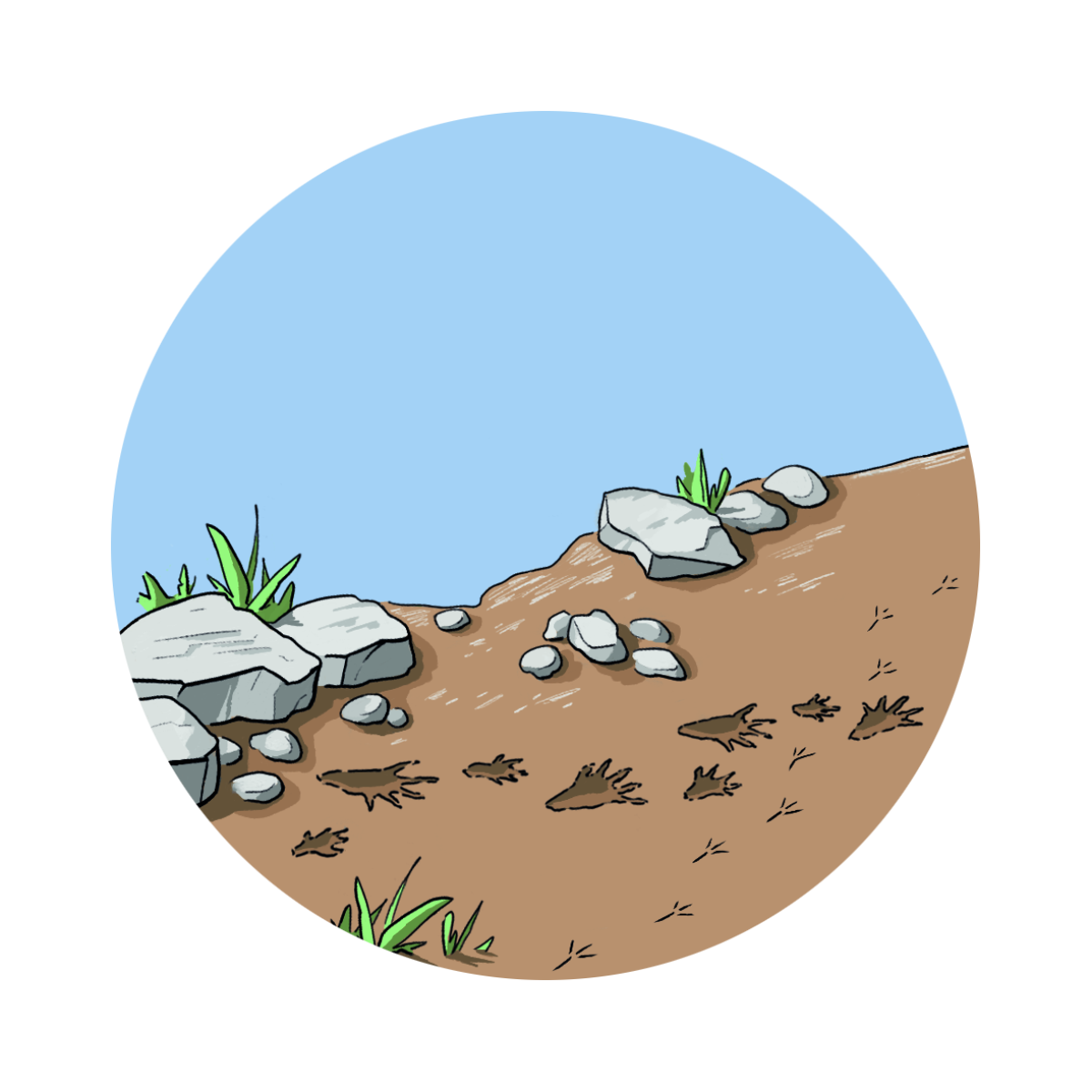 06 spuren in landschaft weiss