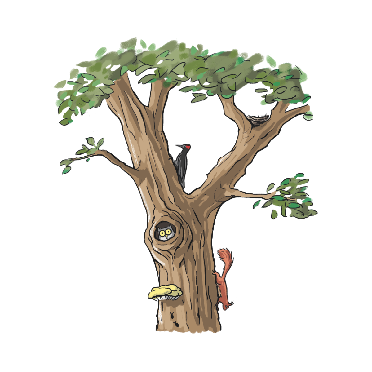 08 jubilaeumsprojekt uraltbaeume