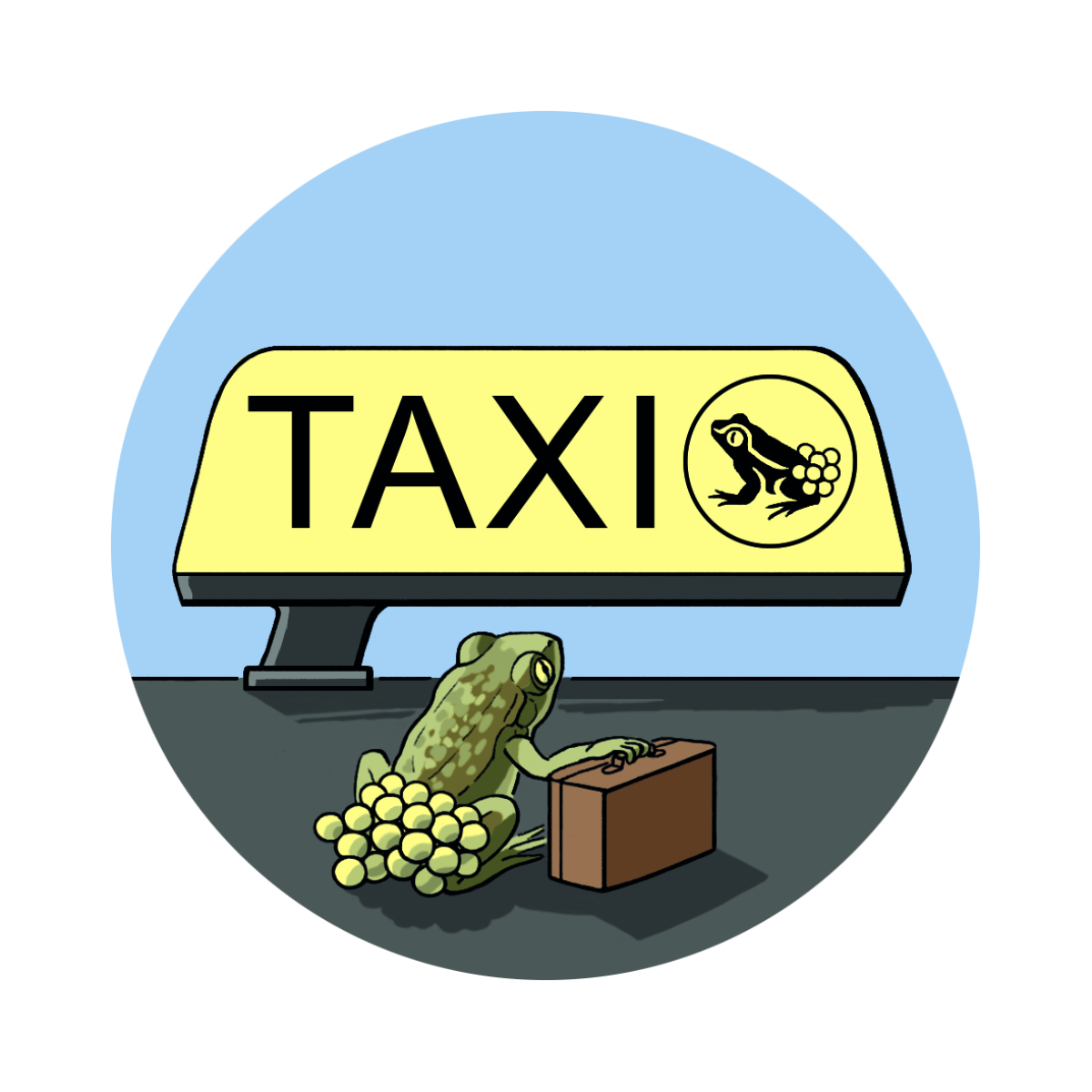 11 projekt taxi gloegglifrosch weiss