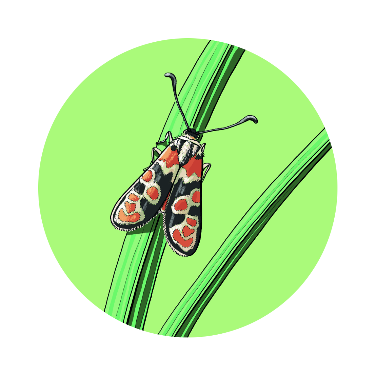 14 projekt mehr flugzeit weiss