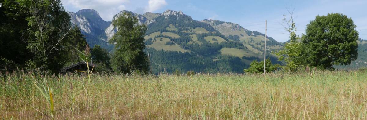 Lebensraum Diemtigen zugeschnitten