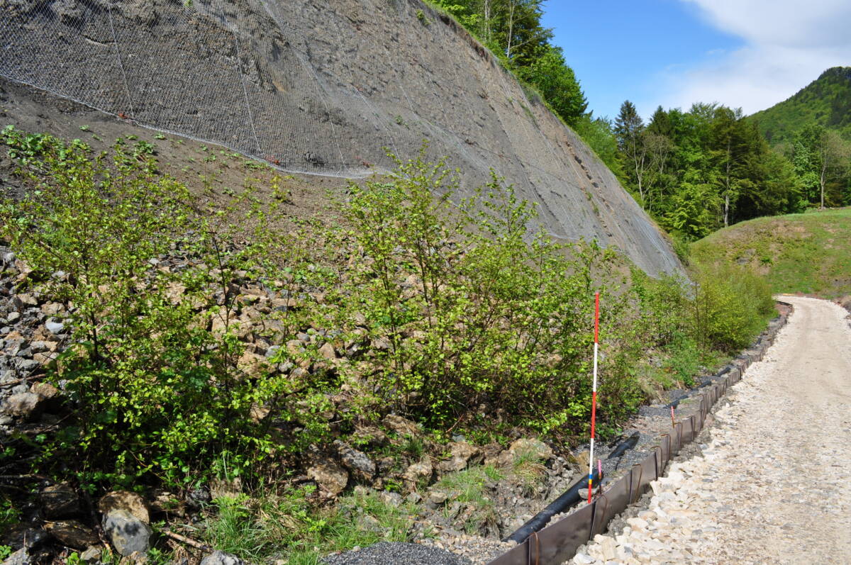 Sk 1143 Fasiswald Lebensräume 73