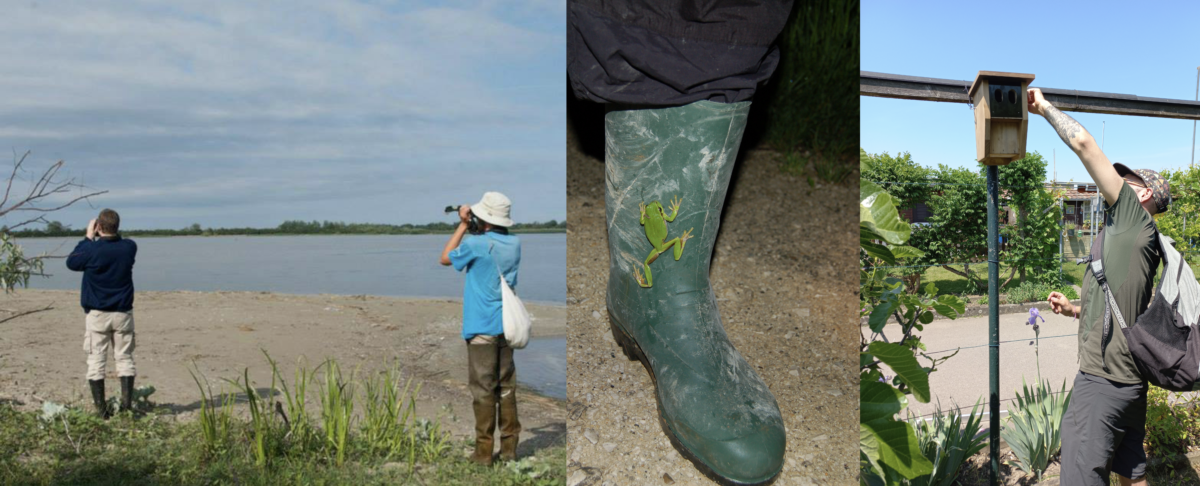 Bildschirmfoto 2023 07 20 um 15 46 37