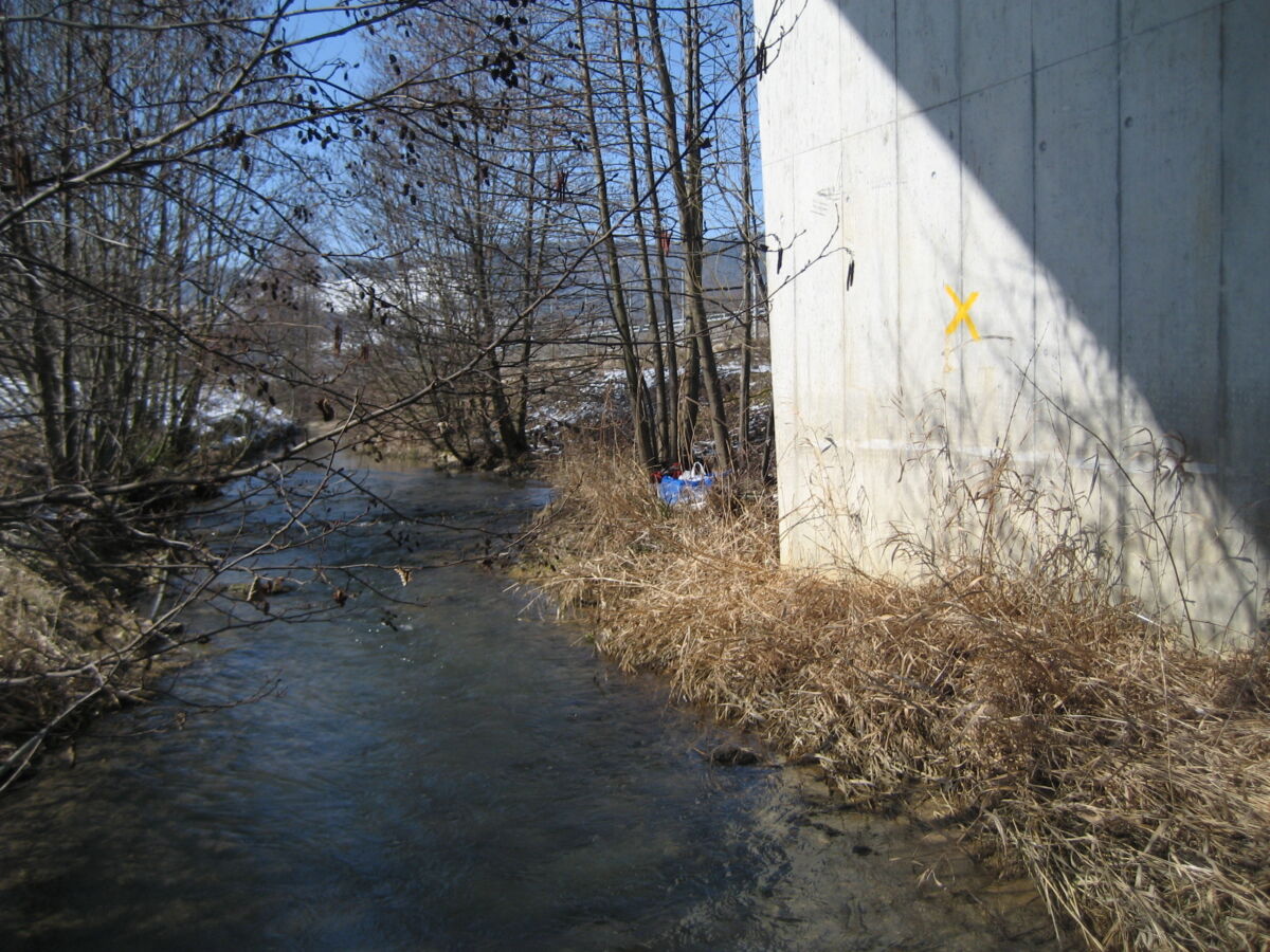 Abbildung 3 Ruiss 2010