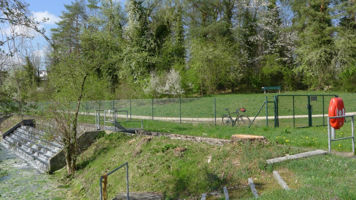 Abb 02a Waldrand P1170339