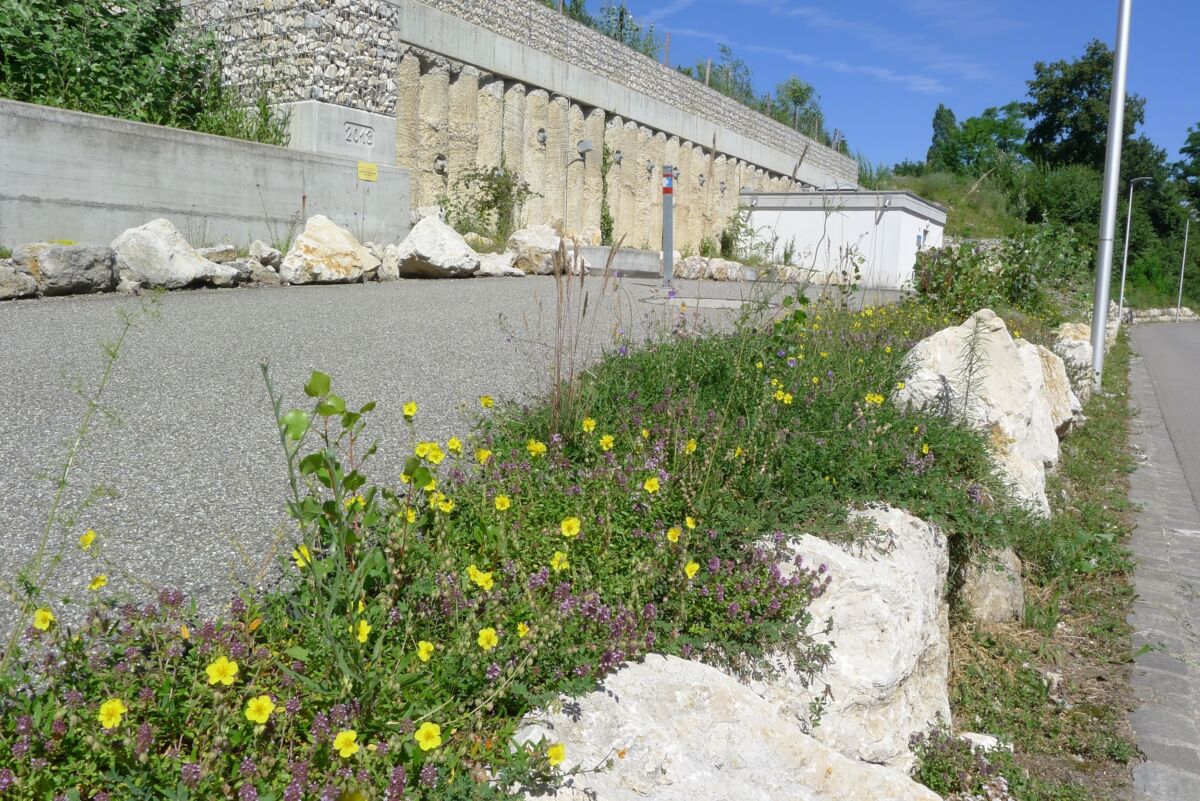 Abb 03 Mischwasserbecken P1100343