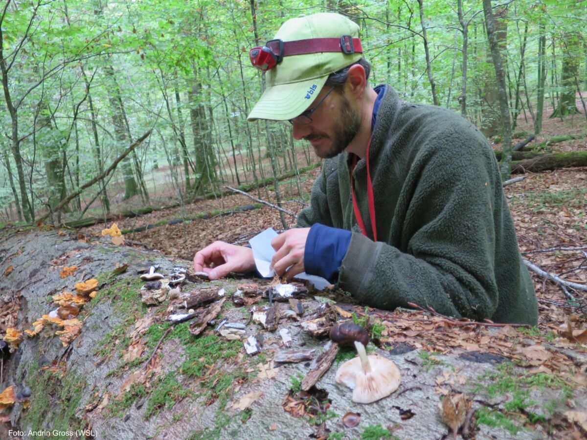 Abb04 IMG 1563 Kopie