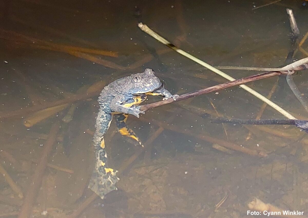 Photo3 Cyann Winkler 2025 12 02 202731 kekh