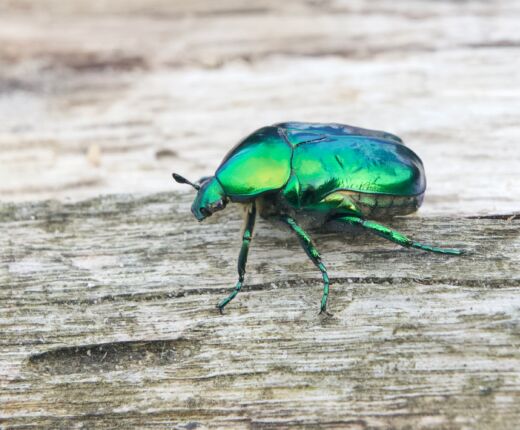 Ma prospe 20240830 allschwil 1 1