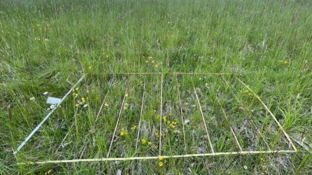 Dar w 3u210531 bf Kopie