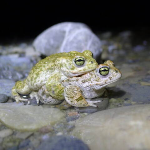 P1080001 Kopie 2023 09 13 094419 nulq