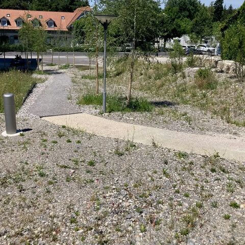 1736327926 biodiversitaet inselspital bern