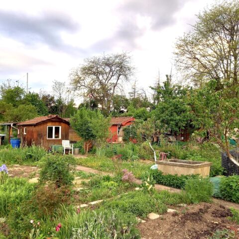 Abb 01 Freizeitgarten hoch